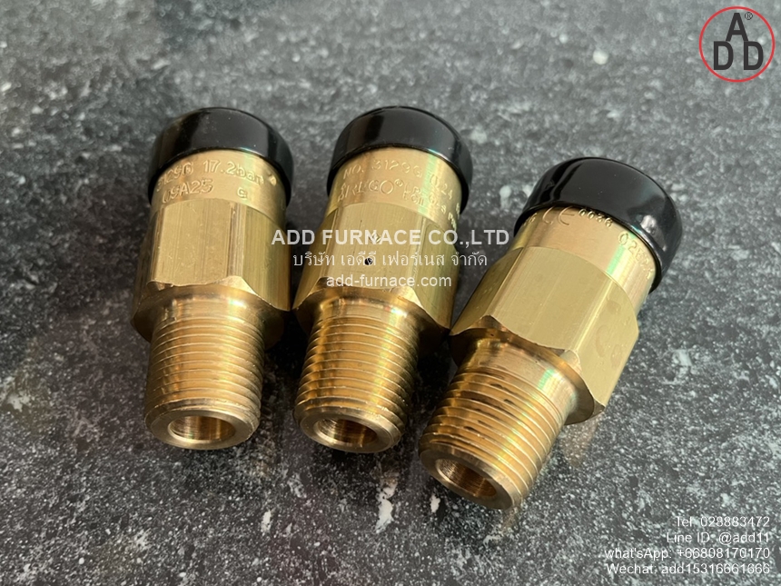 Rego 3129G Safety Relief Valve (3)